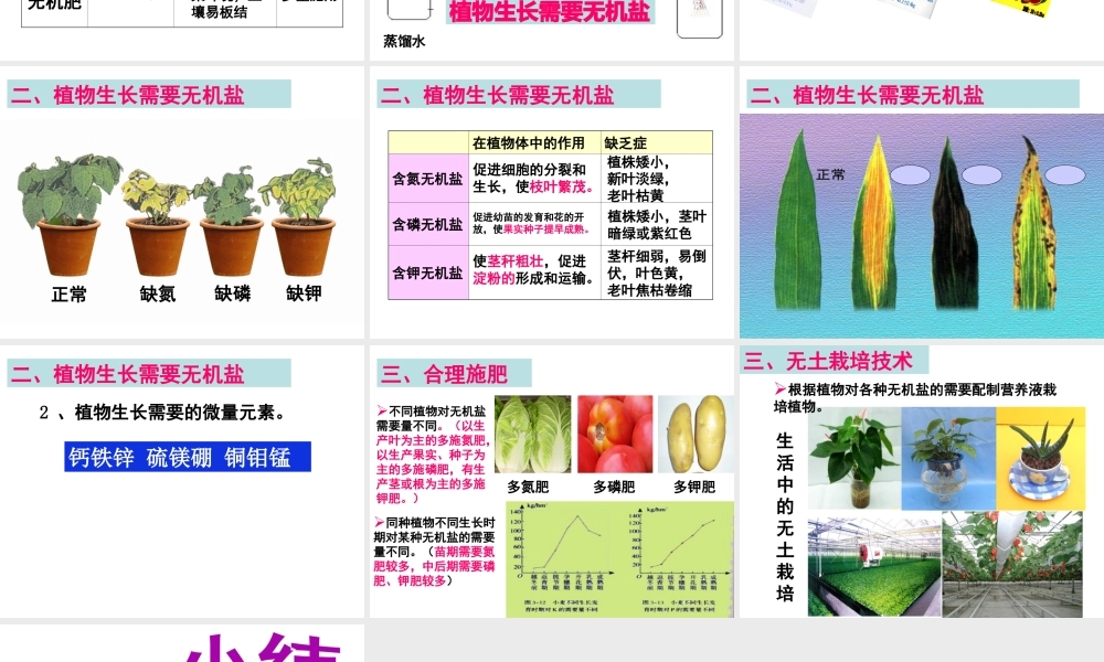 -八年级生物上册 3.2.3 无机盐与植物的生长课件（2）（新版）冀教版-（新版）冀教级上册生物课件