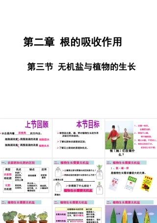 -八年级生物上册 3.2.3 无机盐与植物的生长课件（2）（新版）冀教版-（新版）冀教级上册生物课件