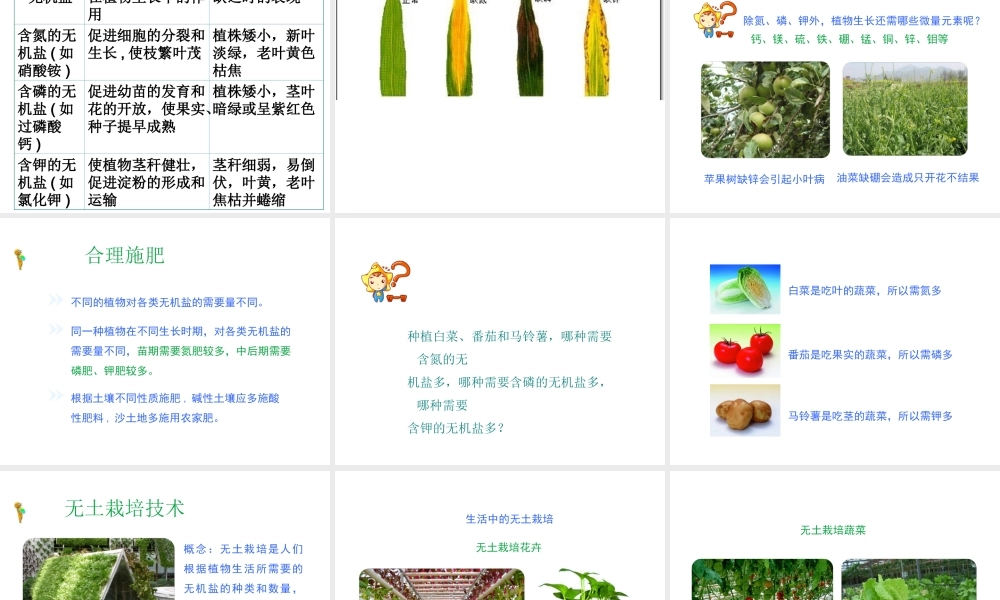 -八年级生物上册 3.2.3 无机盐与植物的生长课件（3）（新版）冀教版-（新版）冀教级上册生物课件