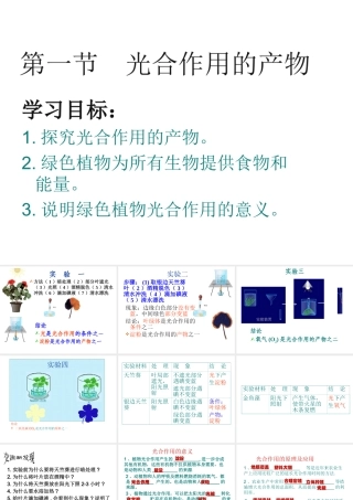 -八年级生物上册 3.3.1 光合作用的产物课件 （新版）冀教版-（新版）冀教版初中八年级上册生物课件