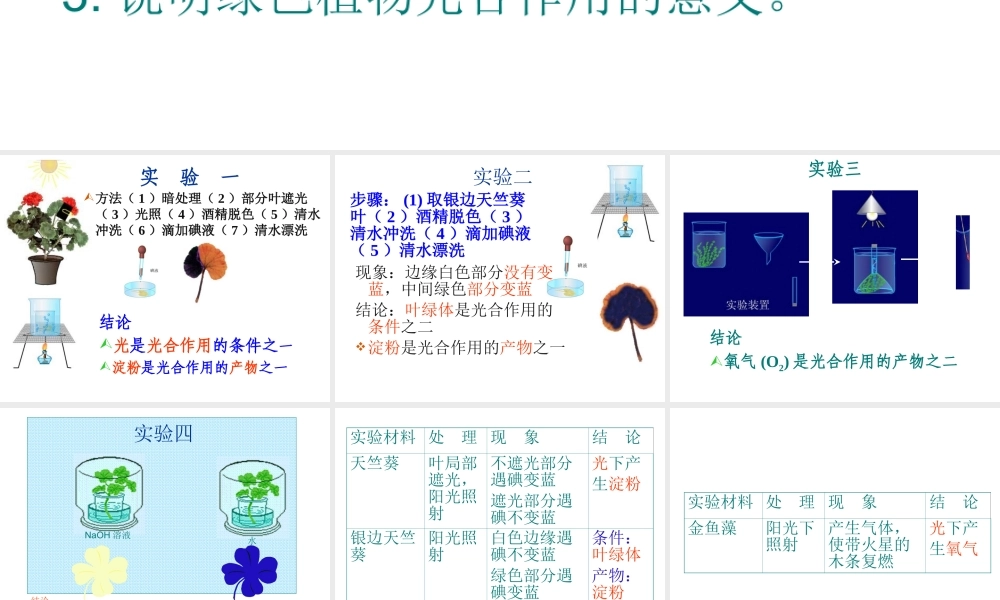 -八年级生物上册 3.3.1 光合作用的产物课件 （新版）冀教版-（新版）冀教级上册生物课件