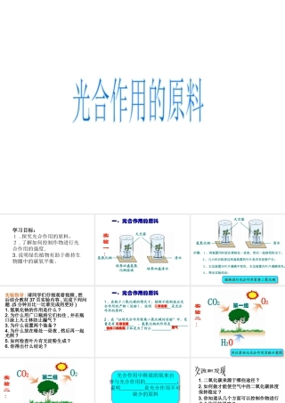 -八年级生物上册 3.3.2 光合作用的原料课件 （新版）冀教版-（新版）冀教级上册生物课件