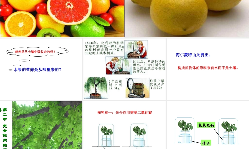 -八年级生物上册 3.3.2 光合作用的原料课件（1）（新版）冀教版-（新版）冀教版初中八年级上册生物课件