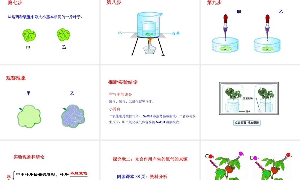-八年级生物上册 3.3.2 光合作用的原料课件（1）（新版）冀教版-（新版）冀教版初中八年级上册生物课件