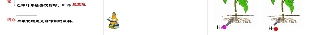 -八年级生物上册 3.3.2 光合作用的原料课件（1）（新版）冀教版-（新版）冀教版初中八年级上册生物课件