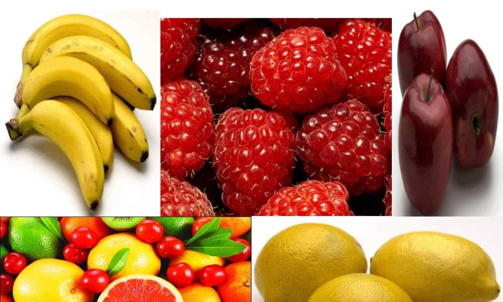 -八年级生物上册 3.3.2 光合作用的原料课件（1）（新版）冀教版-（新版）冀教级上册生物课件