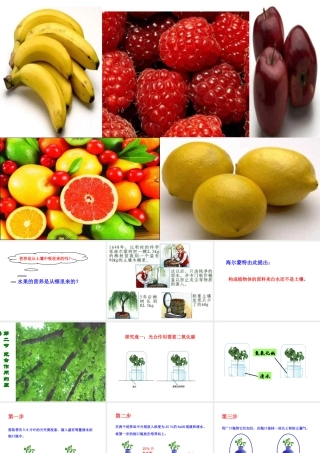 -八年级生物上册 3.3.2 光合作用的原料课件（1）（新版）冀教版-（新版）冀教级上册生物课件