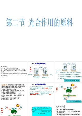 -八年级生物上册 3.3.2 光合作用的原料课件（3）（新版）冀教版-（新版）冀教版初中八年级上册生物课件