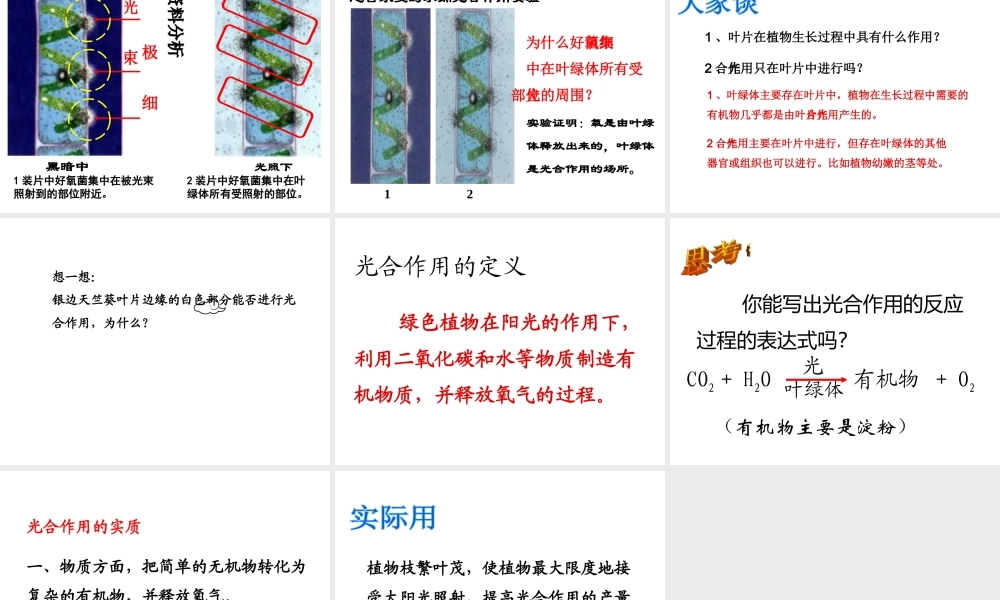-八年级生物上册 3.3.3 光合作用的场所课件（1）（新版）冀教版-（新版）冀教版初中八年级上册生物课件