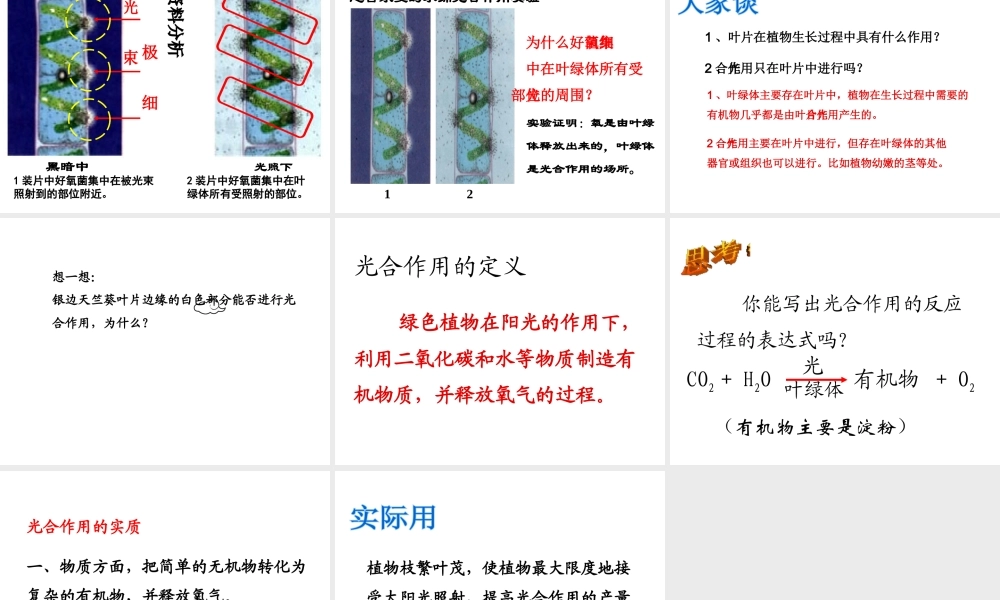 -八年级生物上册 3.3.3 光合作用的场所课件（1）（新版）冀教版-（新版）冀教级上册生物课件