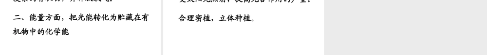 -八年级生物上册 3.3.3 光合作用的场所课件（1）（新版）冀教版-（新版）冀教级上册生物课件