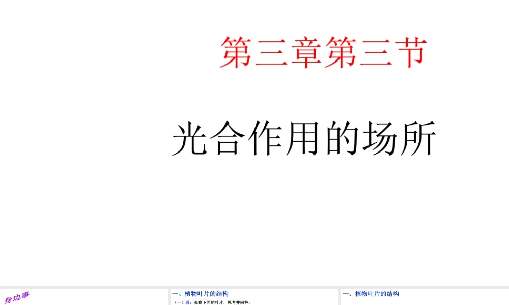 -八年级生物上册 3.3.3 光合作用的场所课件（2）（新版）冀教版-（新版）冀教级上册生物课件