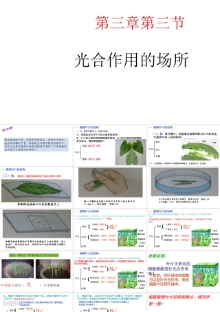 -八年级生物上册 3.3.3 光合作用的场所课件（2）（新版）冀教版-（新版）冀教级上册生物课件