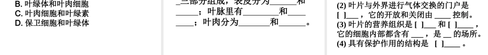 -八年级生物上册 3.3.3 节光合作用的场所课件 （新版）冀教版-（新版）冀教版初中八年级上册生物课件