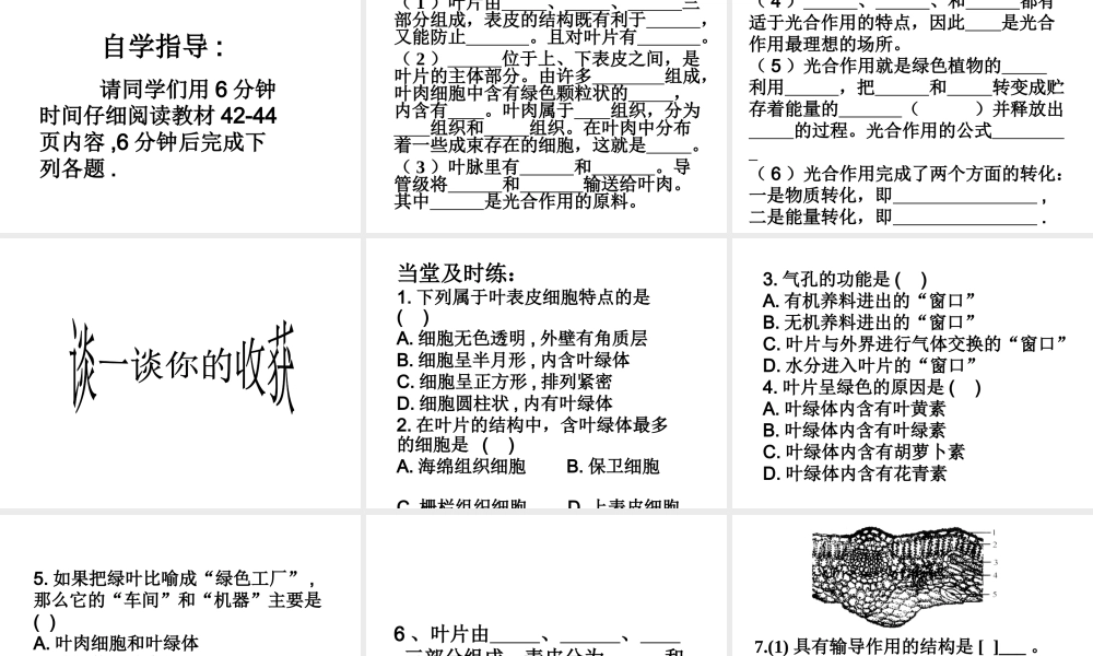-八年级生物上册 3.3.3 节光合作用的场所课件 （新版）冀教版-（新版）冀教级上册生物课件