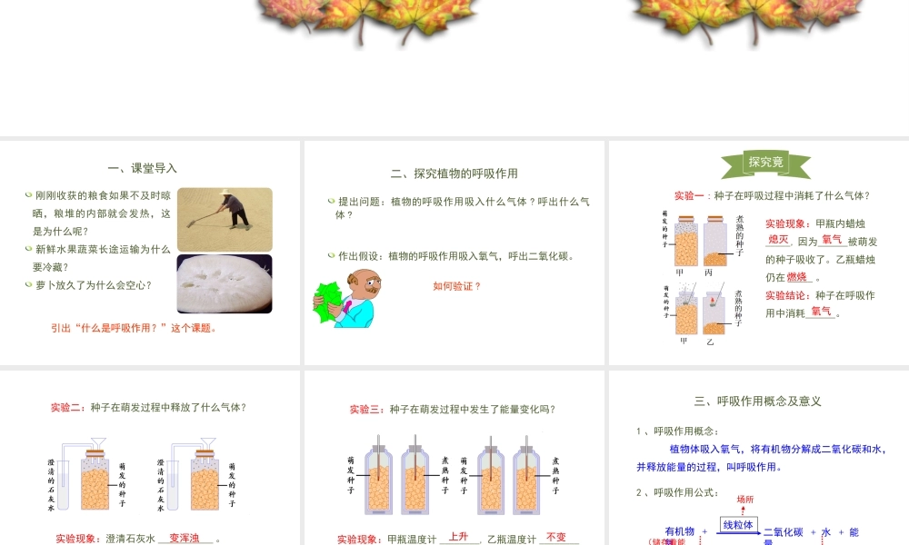 -八年级生物上册 3.4.1 呼吸作用课件（1）（新版）冀教版-（新版）冀教级上册生物课件