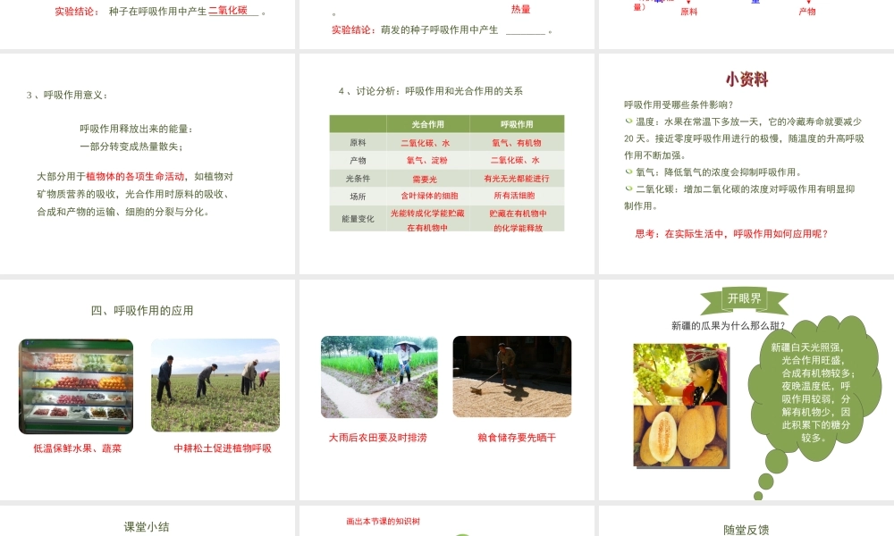 -八年级生物上册 3.4.1 呼吸作用课件（1）（新版）冀教版-（新版）冀教级上册生物课件