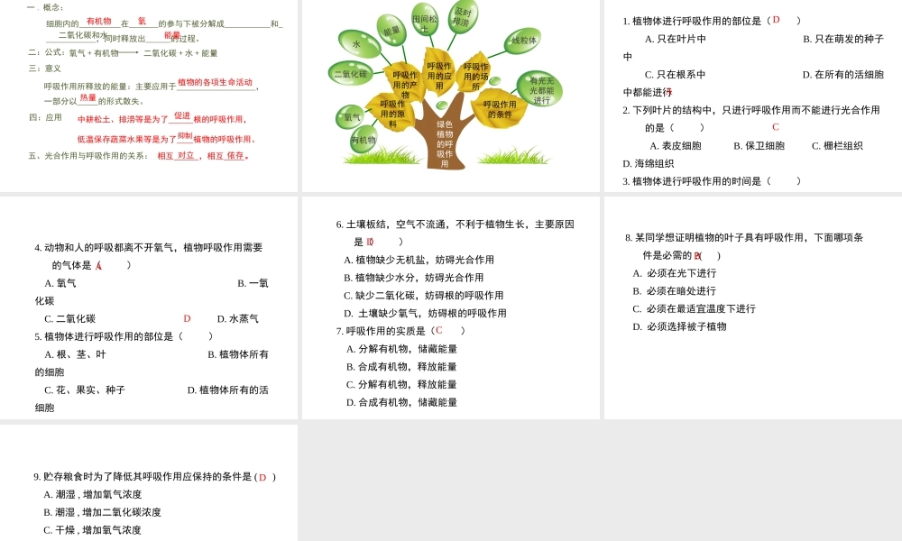 -八年级生物上册 3.4.1 呼吸作用课件（1）（新版）冀教版-（新版）冀教级上册生物课件