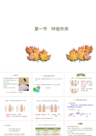 -八年级生物上册 3.4.1 呼吸作用课件（1）（新版）冀教版-（新版）冀教级上册生物课件