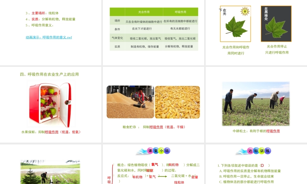 -八年级生物上册 3.4.1 呼吸作用课件（2）（新版）冀教版-（新版）冀教版初中八年级上册生物课件