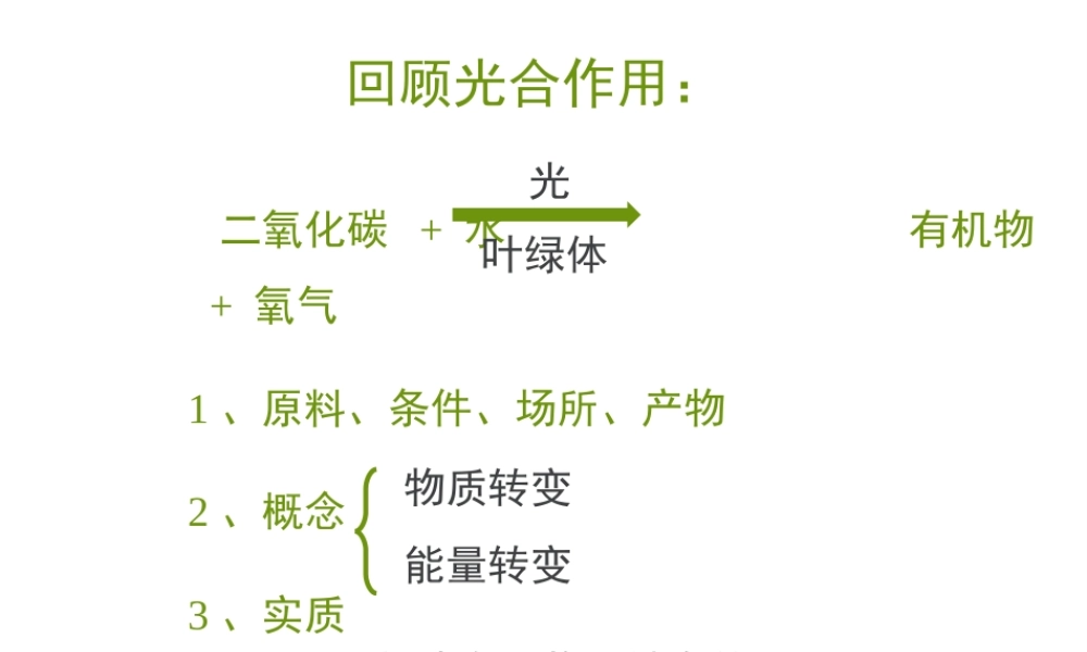 -八年级生物上册 3.4.1 呼吸作用课件（2）（新版）冀教版-（新版）冀教级上册生物课件