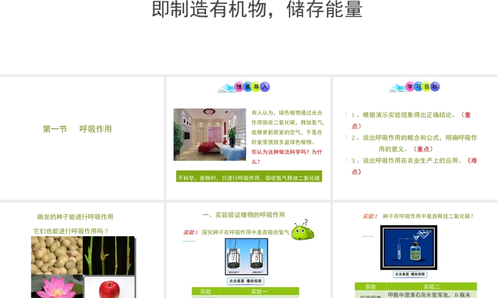 -八年级生物上册 3.4.1 呼吸作用课件（2）（新版）冀教版-（新版）冀教级上册生物课件