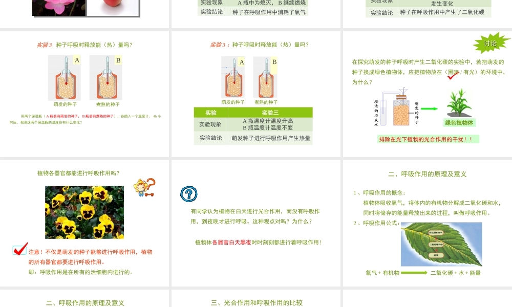 -八年级生物上册 3.4.1 呼吸作用课件（2）（新版）冀教版-（新版）冀教级上册生物课件
