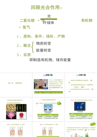 -八年级生物上册 3.4.1 呼吸作用课件（2）（新版）冀教版-（新版）冀教级上册生物课件