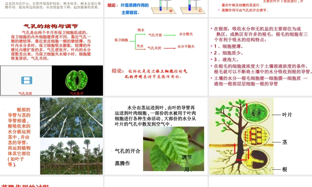 -八年级生物上册 3.4.2 蒸腾作用课件（2）（新版）冀教版-（新版）冀教版初中八年级上册生物课件