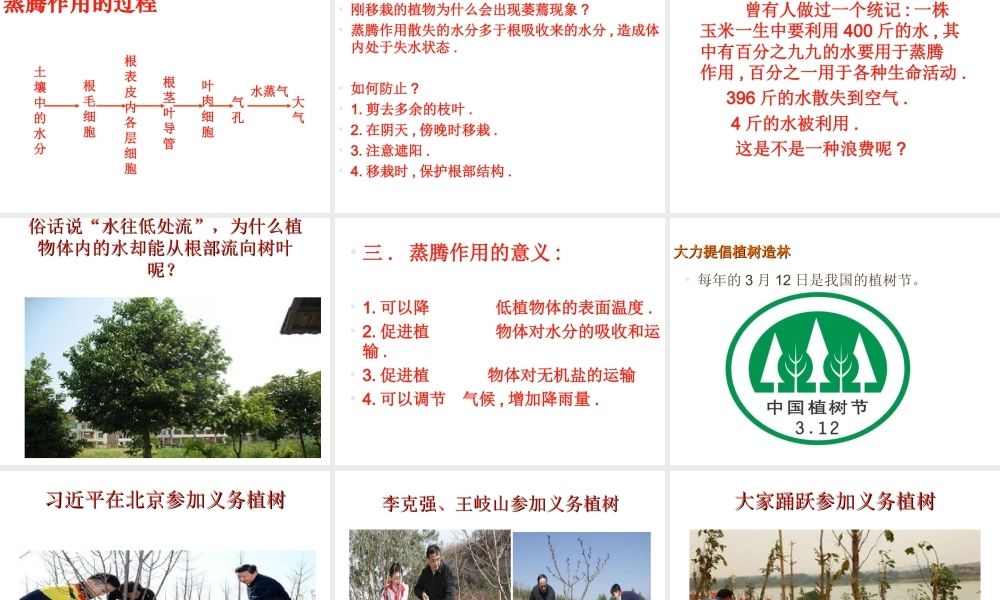 -八年级生物上册 3.4.2 蒸腾作用课件（2）（新版）冀教版-（新版）冀教级上册生物课件