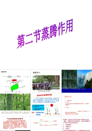 -八年级生物上册 3.4.2 蒸腾作用课件（2）（新版）冀教版-（新版）冀教级上册生物课件