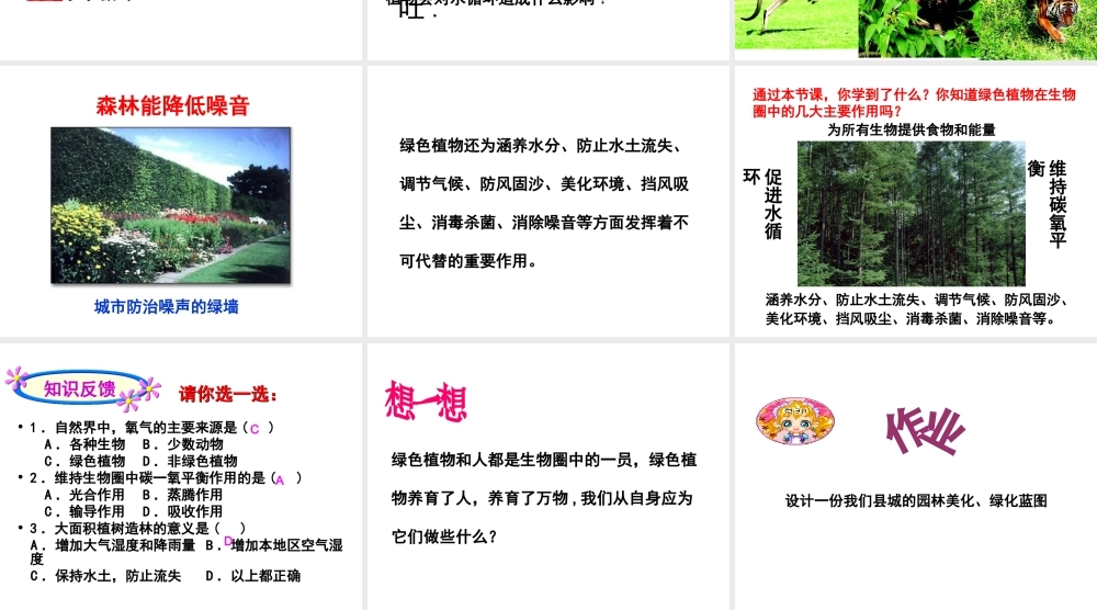 -八年级生物上册 3.5 绿色植物在生物圈中的作用课件（1）（新版）冀教版-（新版）冀教版初中八年级上册生物课件