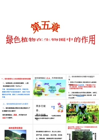 -八年级生物上册 3.5 绿色植物在生物圈中的作用课件（1）（新版）冀教版-（新版）冀教级上册生物课件