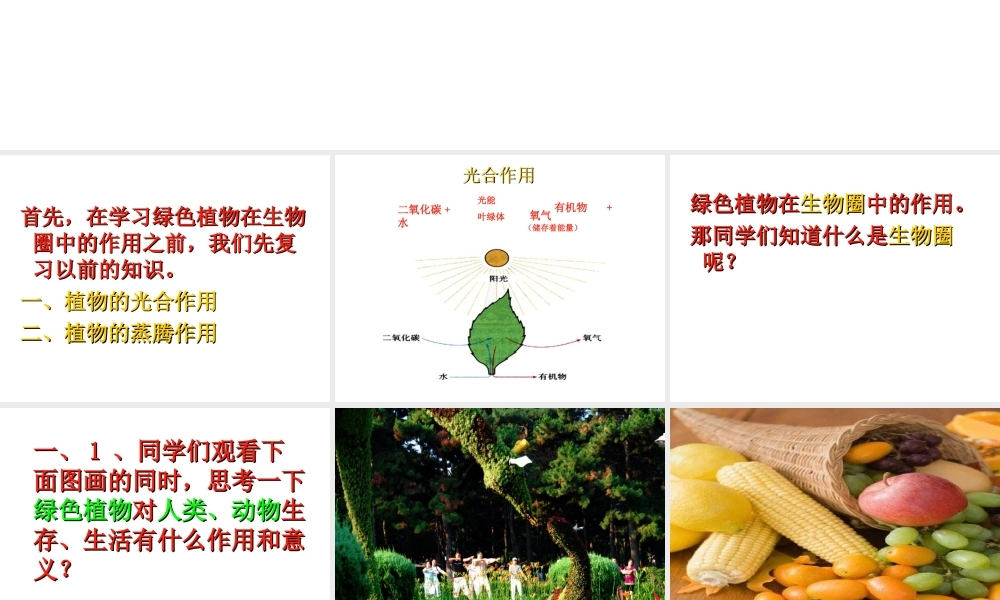 -八年级生物上册 3.5 绿色植物在生物圈中的作用课件（2）（新版）冀教版-（新版）冀教版初中八年级上册生物课件