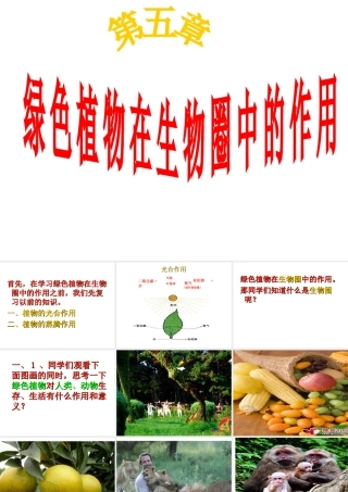 -八年级生物上册 3.5 绿色植物在生物圈中的作用课件（2）（新版）冀教版-（新版）冀教版初中八年级上册生物课件