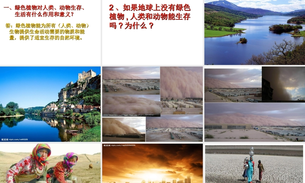 -八年级生物上册 3.5 绿色植物在生物圈中的作用课件（2）（新版）冀教版-（新版）冀教级上册生物课件