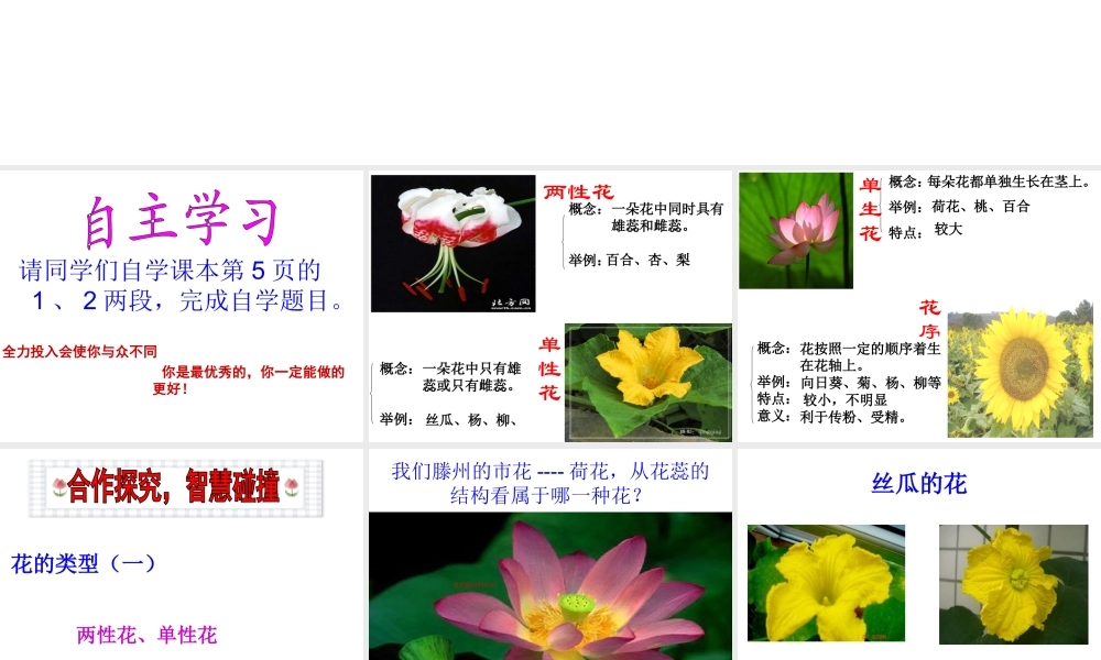 -八年级生物上册 4.1.1 花的结构和类型（第2课时）优秀课件 （新版）济南版-（新版）济南版初中八年级上册生物课件