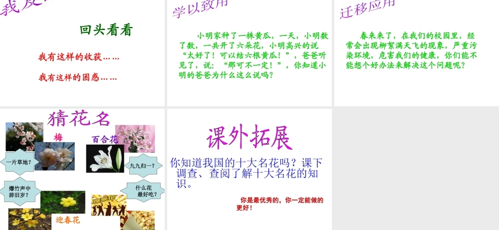 -八年级生物上册 4.1.1 花的结构和类型（第2课时）优秀课件 （新版）济南版-（新版）济南版初中八年级上册生物课件