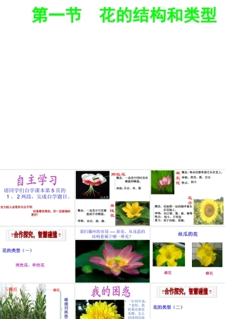 -八年级生物上册 4.1.1 花的结构和类型（第2课时）优秀课件 （新版）济南版-（新版）济南版初中八年级上册生物课件