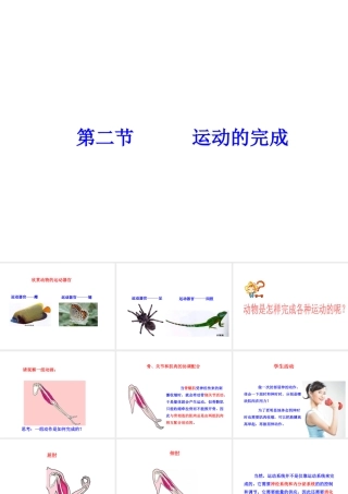 -八年级生物上册 4.1.2 运动的完成课件（1）（新版）冀教版-（新版）冀教版初中八年级上册生物课件