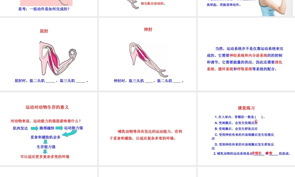 -八年级生物上册 4.1.2 运动的完成课件（1）（新版）冀教版-（新版）冀教级上册生物课件