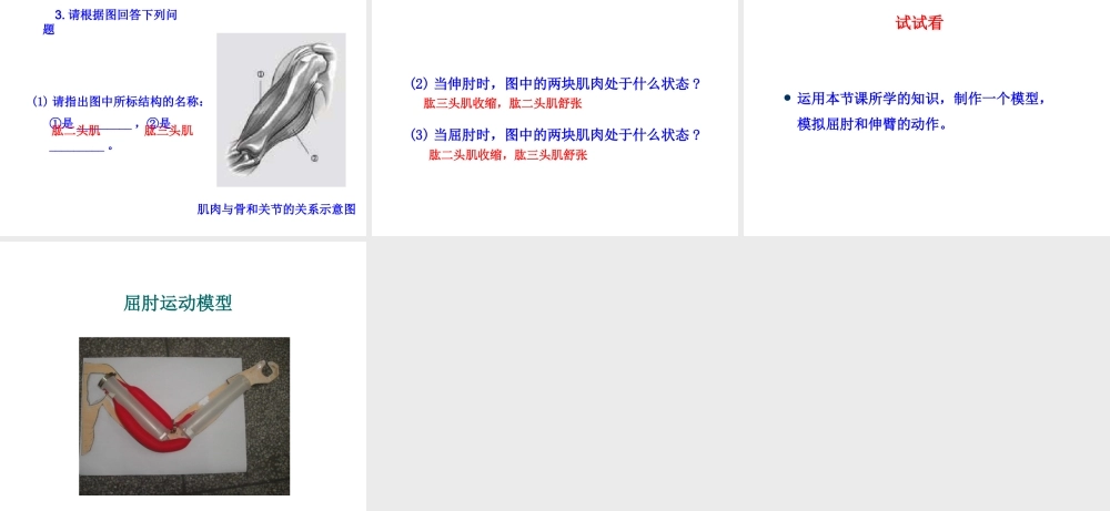 -八年级生物上册 4.1.2 运动的完成课件（1）（新版）冀教版-（新版）冀教级上册生物课件