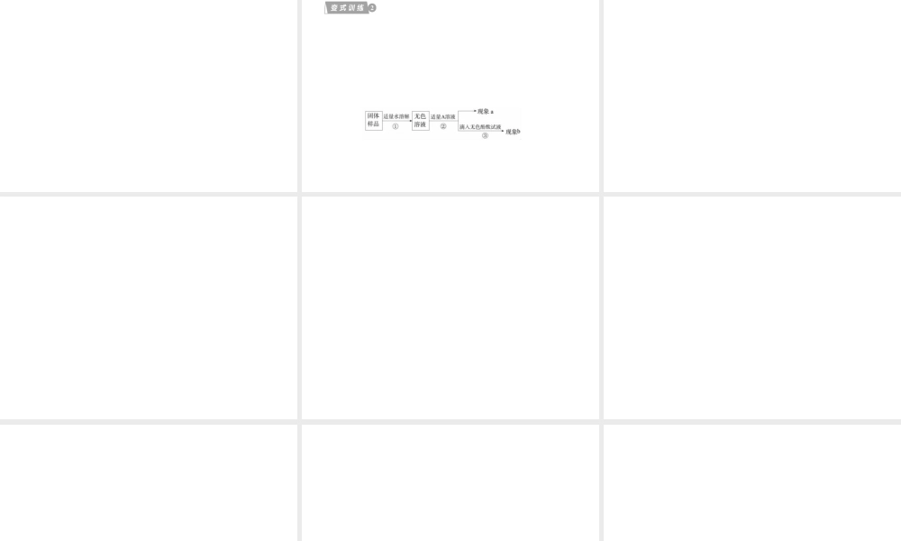 2012版中考化学 专题10 常见的酸和碱复习精品课件（含11真题和12预测试题）