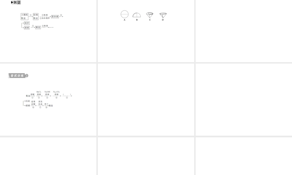 2012版中考化学 专题12 常见的盐和化肥复习精品课件（含11真题和12预测试题）