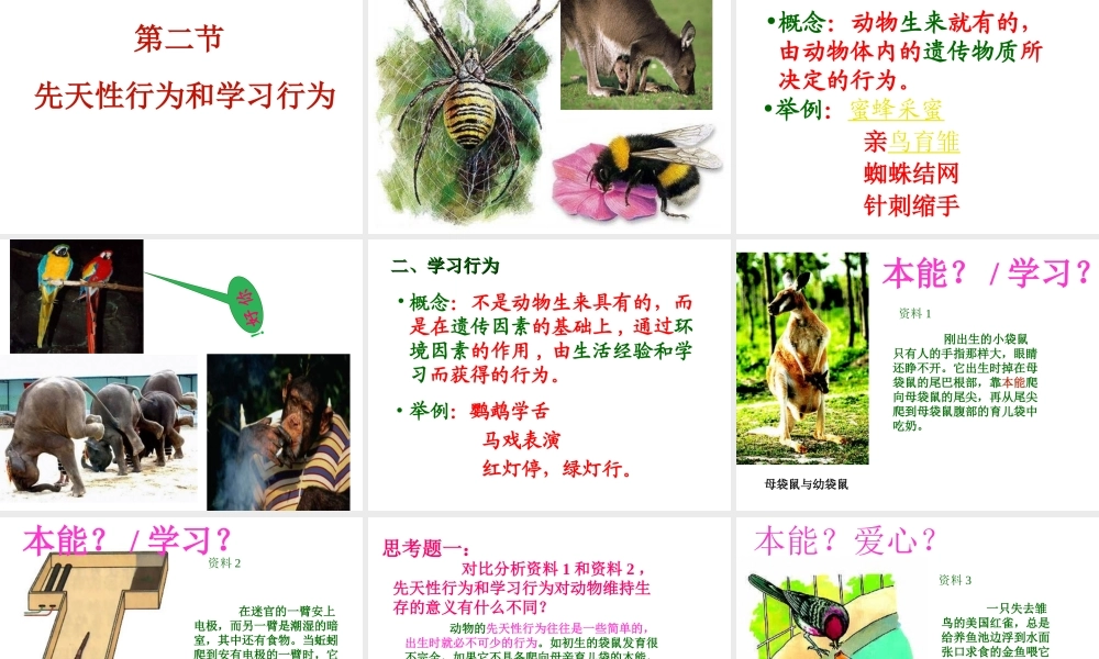 2012年秋八年级生物上册 第十六章 第二节 先天性行为和学习行为课件 北师大版
