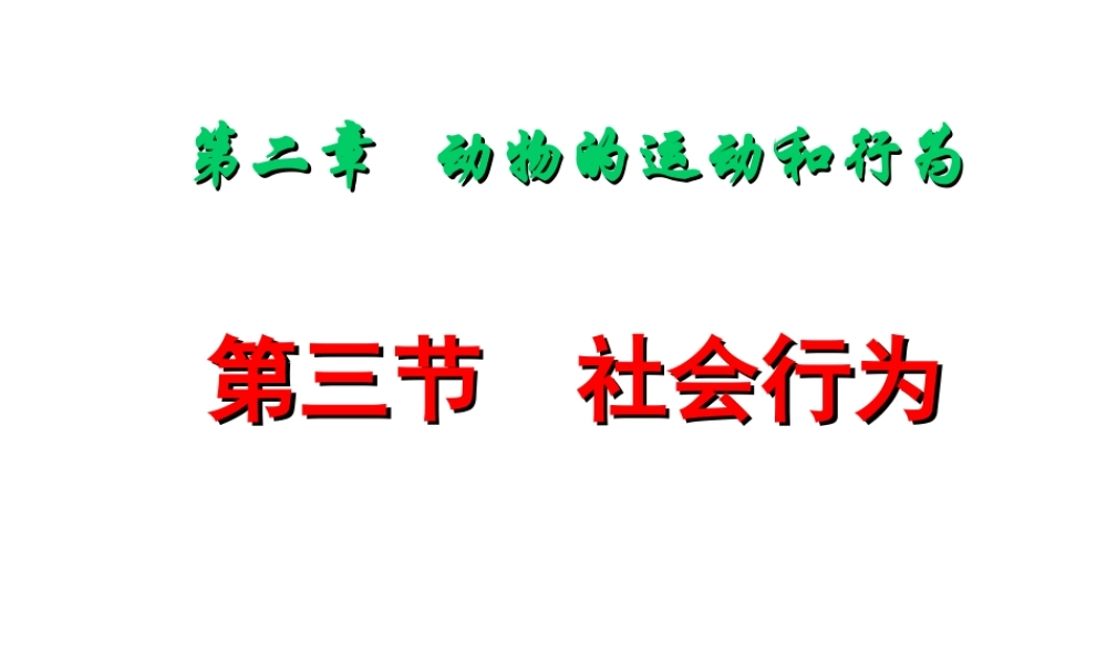 2012年秋八年级生物上册 第五单元 第三节 社会行为课件 新人教版