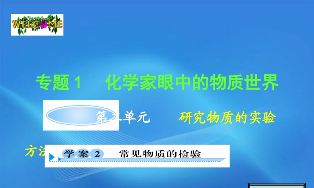 11-12学年高中化学 1.2.2 常见物质的检验学案（PPT） 苏教版必修1