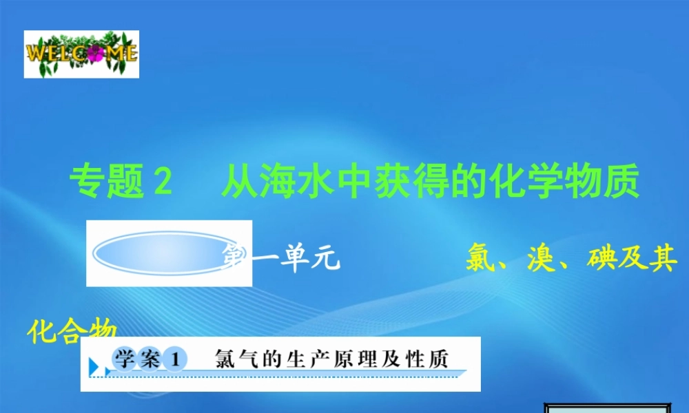 11-12学年高中化学 2.1.1 氯气的生产原理及性质学案（PPT） 苏教版必修1