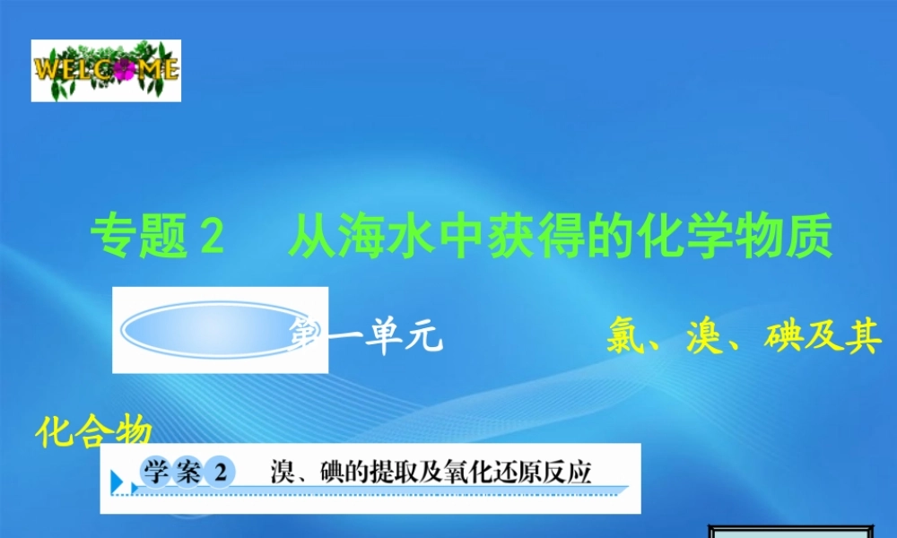 11-12学年高中化学 2.1.2 溴、碘的提取及氧化还原反应学案（PPT） 苏教版必修1