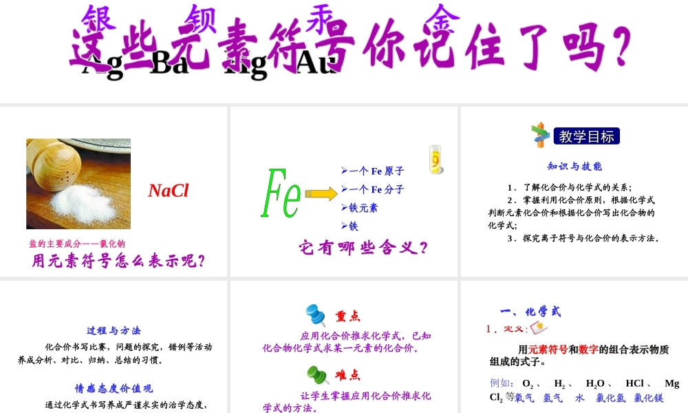 2012年秋九年级化学上册 课题4 化学式与化合价课件 新人教版